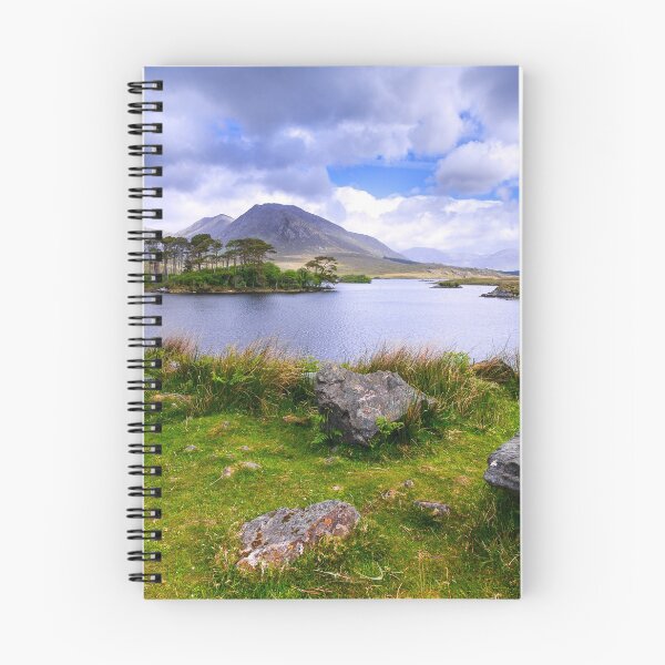 Item preview, Pine Island, Derryclare Lough, County Galway, Ireland designed and sold by Zdrojewski.