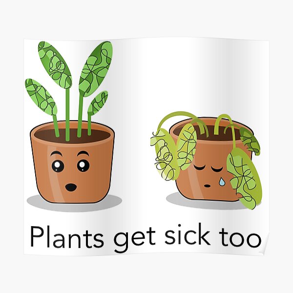 "Plants get sick too" Poster for Sale by DaniMStevens Redbubble
