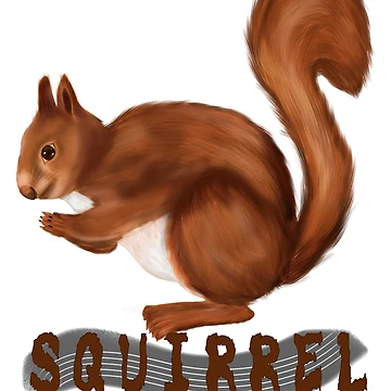 Artwork thumbnail, Squirrel by Radelss