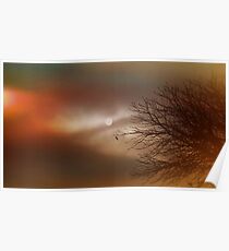 Mysterious Night Poster