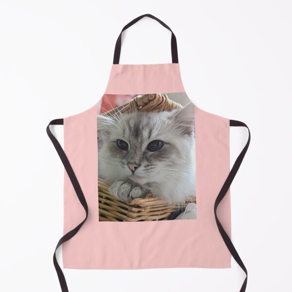 Item preview, Copy of Saoirse the beautiful lynx ragdoll queen cat designed and sold by Fluffycat2020.