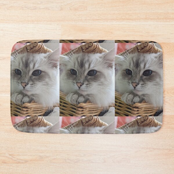 Item preview, Copy of Saoirse the beautiful lynx ragdoll queen cat designed and sold by Fluffycat2020.