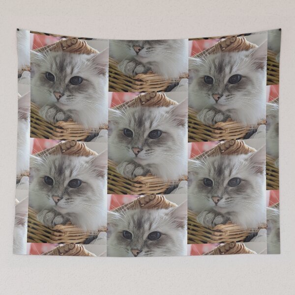 Item preview, Copy of Saoirse the beautiful lynx ragdoll queen cat designed and sold by Fluffycat2020.