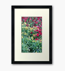 colours Framed Print