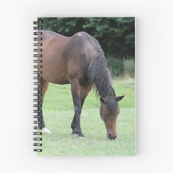 Item preview, Caballo marrón designed and sold by Johnmfc81.