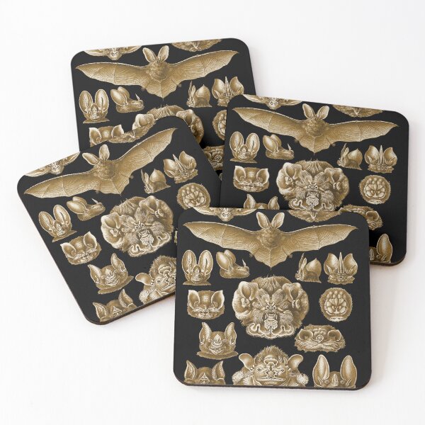 Item preview, Ernst Haeckel Chiroptera Bat illustration from Art Forms in Nature book. designed and sold by el-padre.