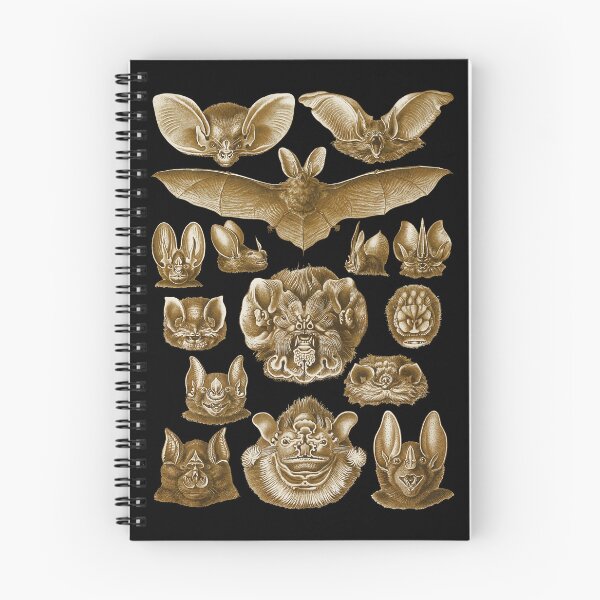 Item preview, Ilustración de Ernst Haeckel Chiroptera Bat del libro Art Forms in Nature. designed and sold by el-padre.