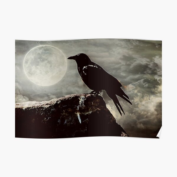 Midnight Raven Poster