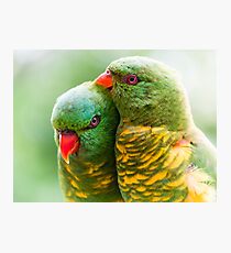 Scaly Affection Photographic Print