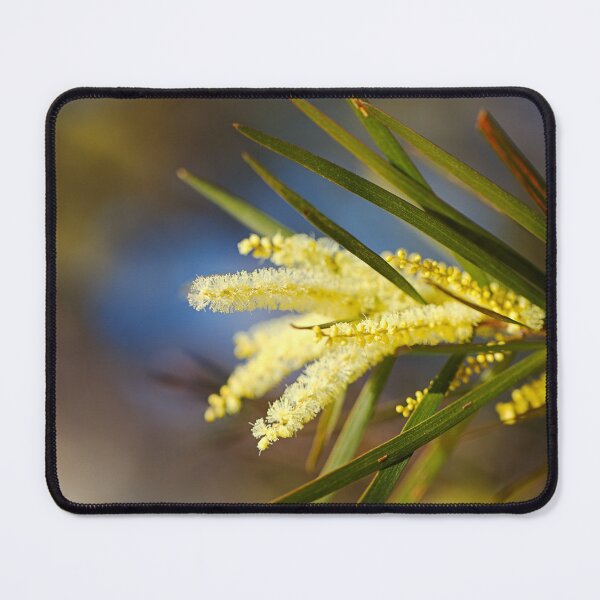 Item preview, Golden Wattle Flowers Fingers designed and sold by Joy Watson - Natural Light Photography .