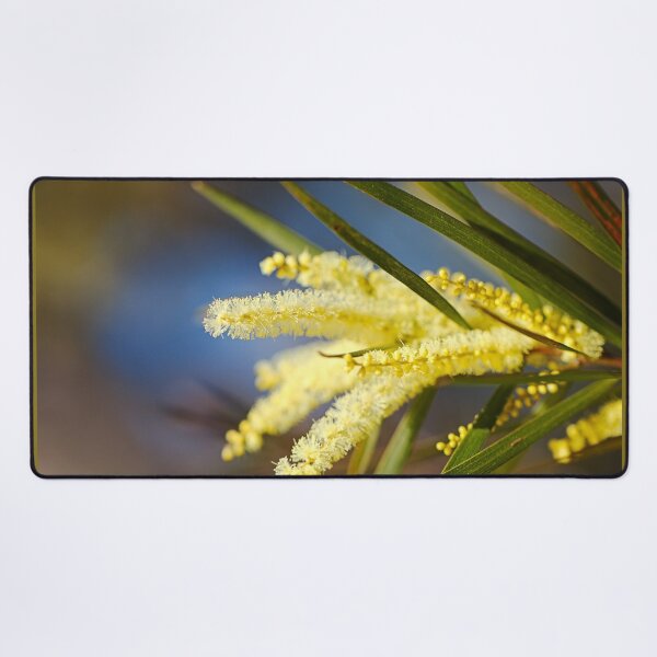 Item preview, Golden Wattle Flowers Fingers designed and sold by Joy Watson - Natural Light Photography .