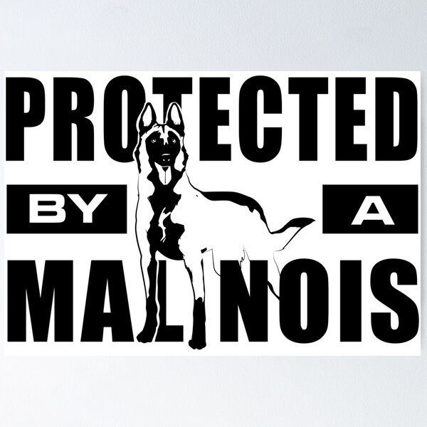 Item preview, Belgian shepherd - Malinois  designed and sold by k9printart.