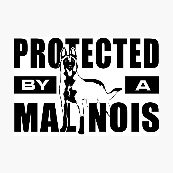 Item preview, Pastor belga - Malinois designed and sold by k9printart.