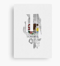 Illinois Typographic Map Flag Canvas Print