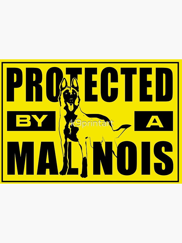 Disover Belgian shepherd - Malinois Premium Matte Vertical Poster