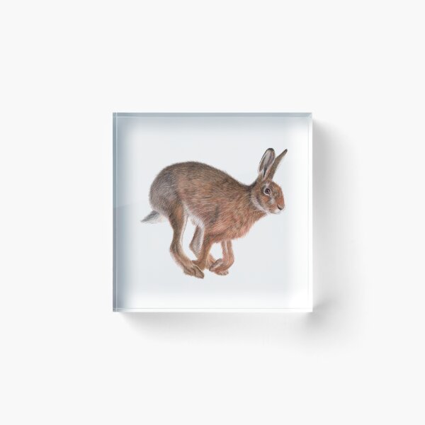 Item preview, Running hare designed and sold by Lonneke Grimbergen.