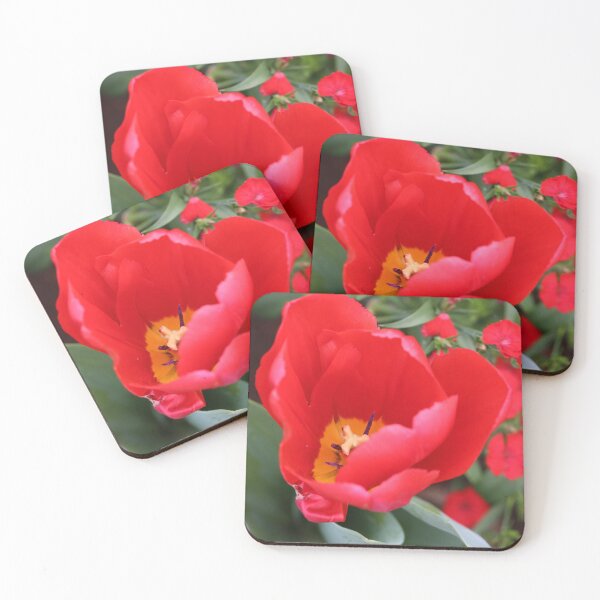 Item preview, Red Tulip designed and sold by STHogan2.