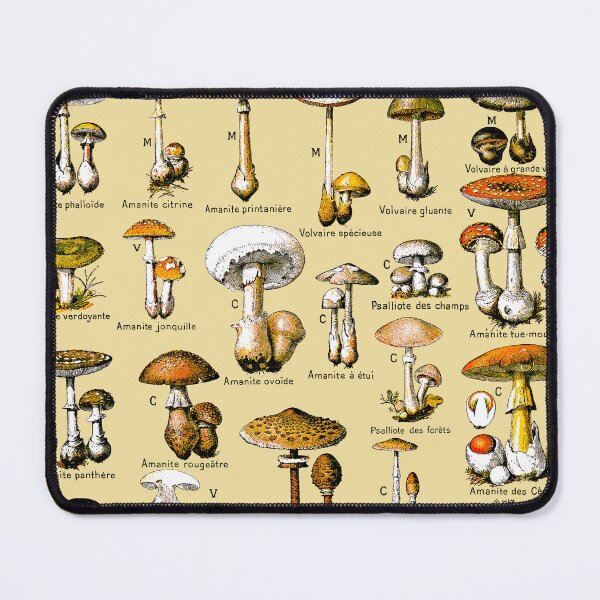 Item preview, Vintage Mushroom Art by Adolphe Millot. Larousse poster. Vintage Botanical Art. Science Illustration.  designed and sold by el-padre.