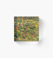 Multi colored trees in autumn Acrylic Block