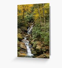 Mountain stream in the fall Greeting Card