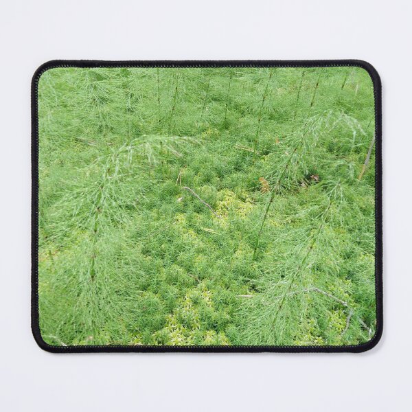 Item preview, A fairy tale forest in the forest? designed and sold by Raigitam.