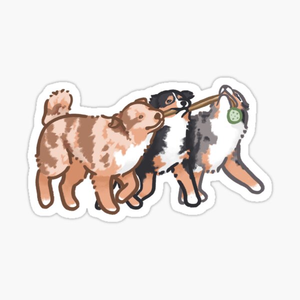 Item preview, Three Mini American Shepherds designed and sold by eliasgrafix.
