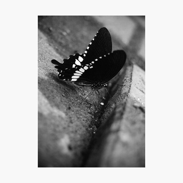 Perspective Photographic Print