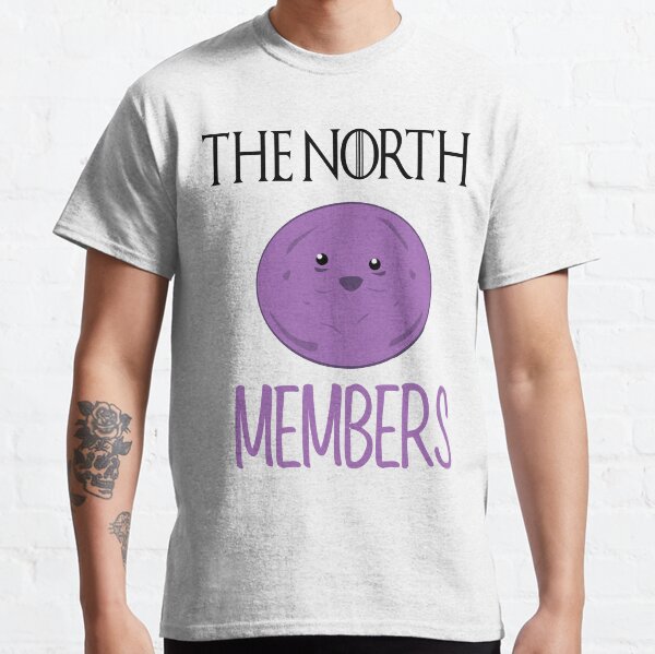 the north remembers shirt north face