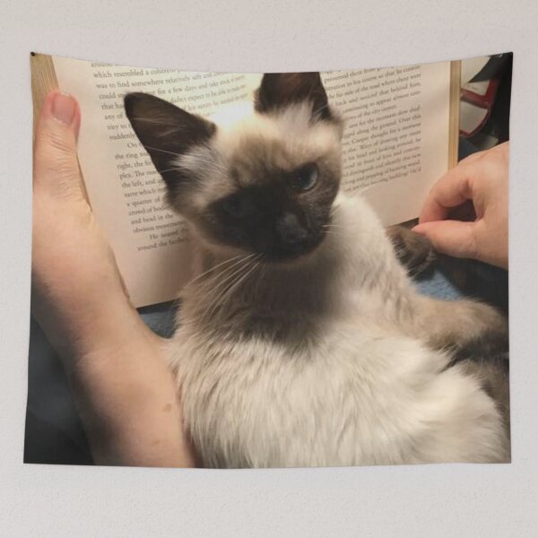 Item preview, Classic Cat Pose designed and sold by redqueenself.
