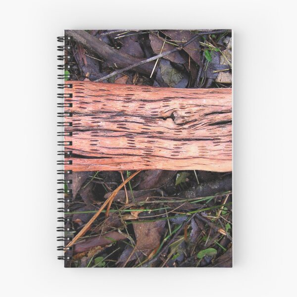 Aperçu de l'œuvre Toolangi Bark créée et vendue par Rubywoodwytch.