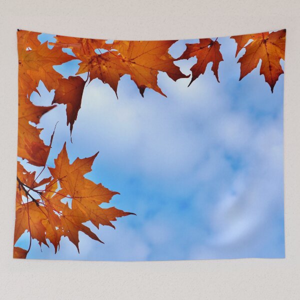 Item preview, Autumn Maple Leaves Framing the Cloudy Sky designed and sold by Nalinne Jones.