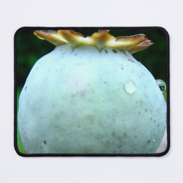 Item preview, Ahead designed and sold by Sharon Perrett.