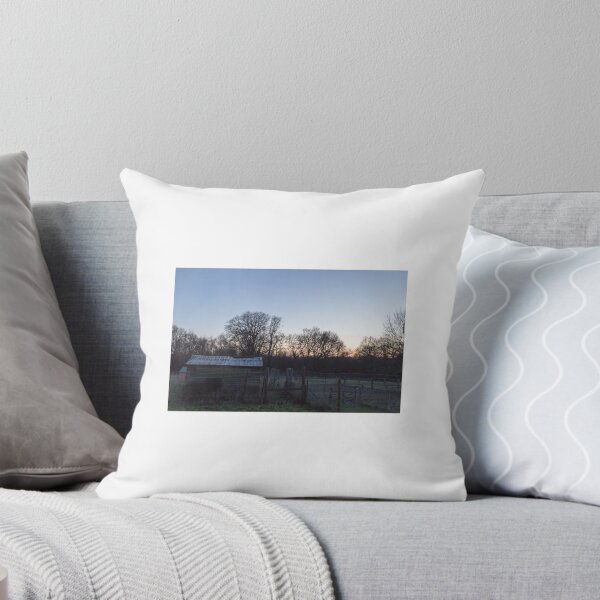 Item preview, Early evening in the winter light designed and sold by justine Gordon.