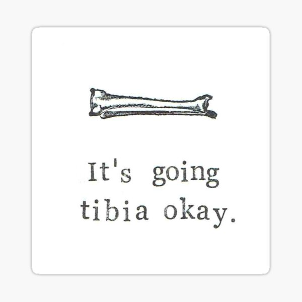 Tibia Stickers | Redbubble