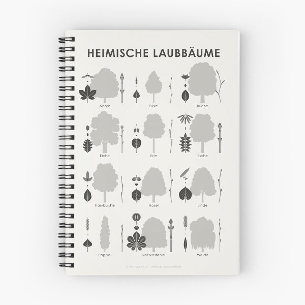 Artikelvorschau, Heimische Laubbäume, Baumspezies oder Bäume Infografik / Schautafel (Deutsch) entworfen und verkauft von Iris Luckhaus.
