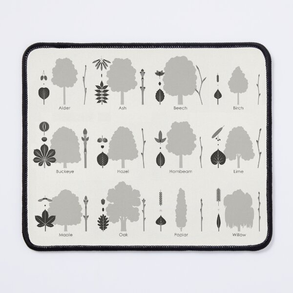 Item preview, Common Foliage or Deciduous Trees Identification ID Chart designed and sold by Iris Luckhaus.