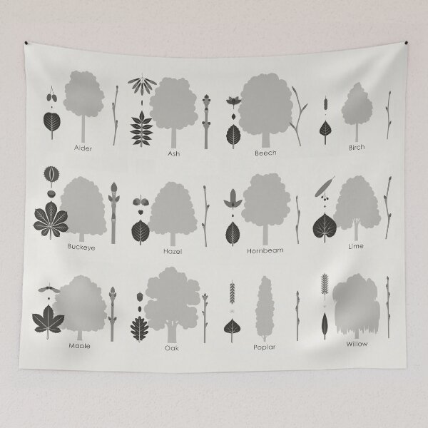 Item preview, Common Foliage or Deciduous Trees Identification ID Chart designed and sold by Iris Luckhaus.