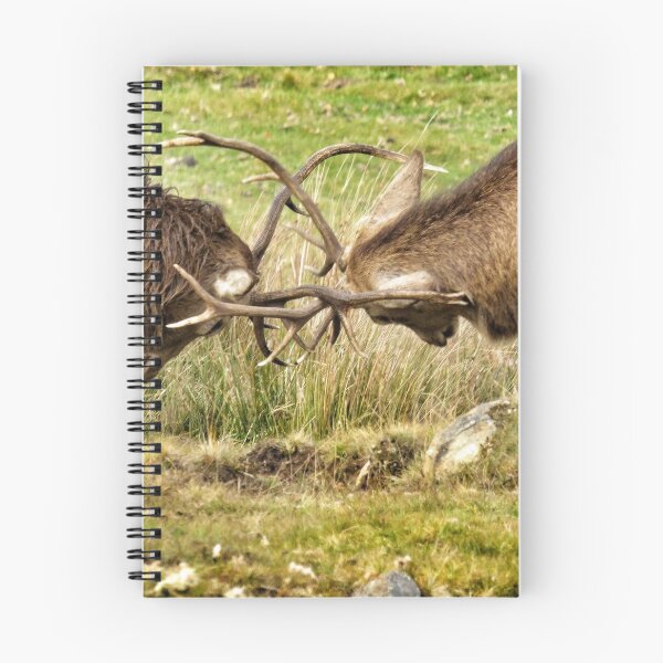 Item preview, Rutting stags designed and sold by Johnmfc81.