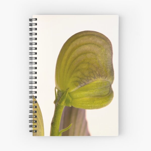 Item preview, Aconitum Napellus designed and sold by Sandra Foster.