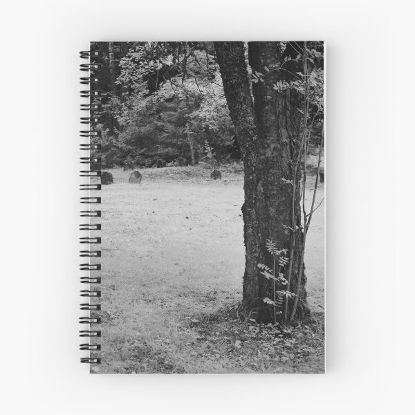Item preview, Lost graveyard designed and sold by Jouko Lehto Photography.