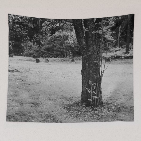 Item preview, Lost graveyard designed and sold by Jouko Lehto Photography.