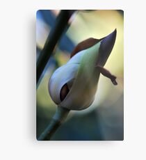 Bud Metal Print
