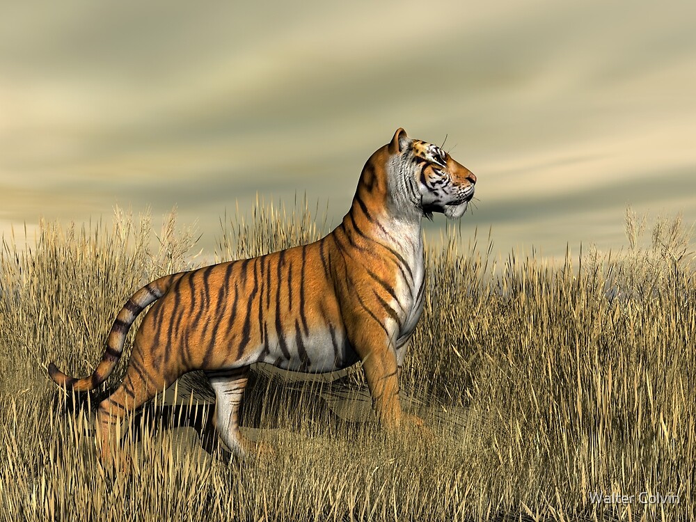 Mighty tiger могучий тигр игровой автомат ставка онлайн Mighty tiger могучий тигр игровой автомат теннис