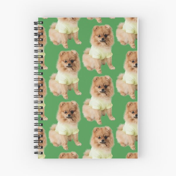 Item preview, abucheo de pomerania designed and sold by tranda90.