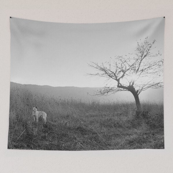 Item preview, 1999 Cane bianco al tramonto #02 designed and sold by robertoferrero.