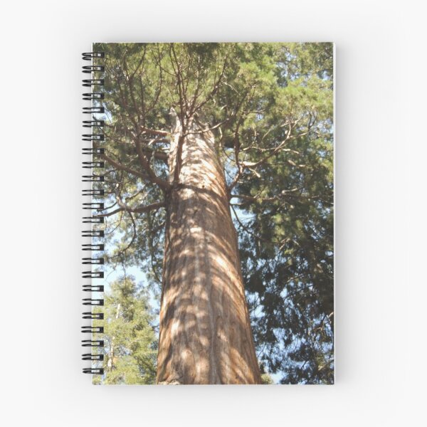 Item preview, Giant Redwood Tree designed and sold by TheManley.