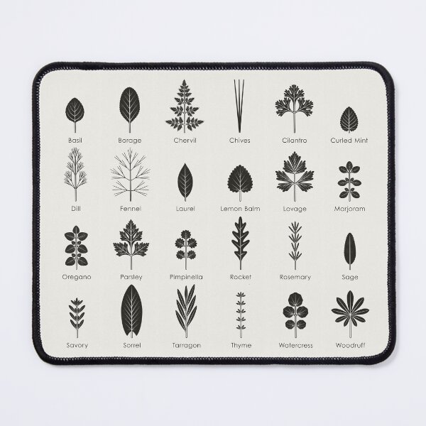 Item preview, Culinary Kitchen Herbs Identification ID Chart (English) designed and sold by Iris Luckhaus.