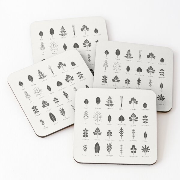 Item preview, Culinary Kitchen Herbs Identification ID Chart (English) designed and sold by Iris Luckhaus.