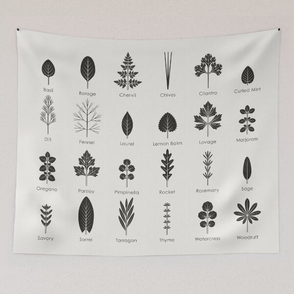 Item preview, Culinary Kitchen Herbs Identification ID Chart (English) designed and sold by Iris Luckhaus.