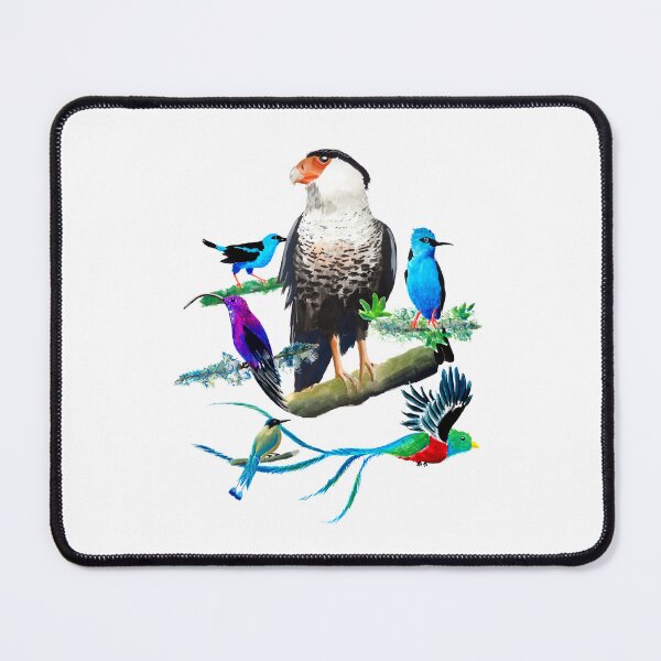 Item preview, Caracara Tropical Exotic Birds Collection designed and sold by julyperson.